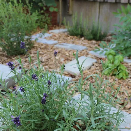 Lejlighed Invita Natur-chalets - Familienurlaub Im Schwarzwald Bad Dürrheim